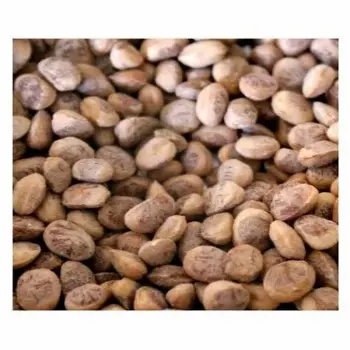 Organic Chironji Exporters